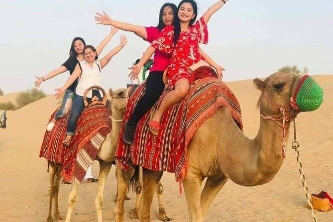 Red Sand Lahbab Desert Safari Adventure - The Evening: Entertainment and Dinner