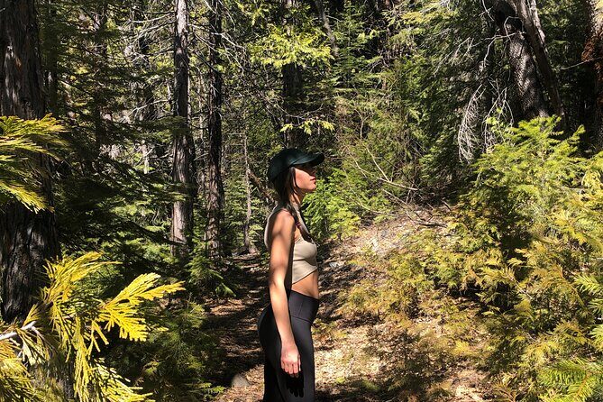 Redwoods Forest Bathing - The Experience in Context: Why Choose Forest Bathing?