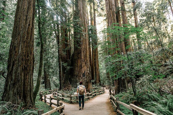 Redwoods Full-day Private Tour and Hike - Final Thoughts