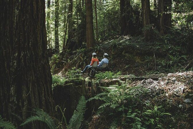 Redwoods Railbike Along Pudding Creek - The Guides and Experience Quality