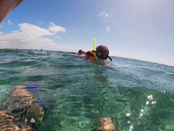 Reef Snorkel In National Park In Puerto Morelos With Lunch And Transportation - FAQs