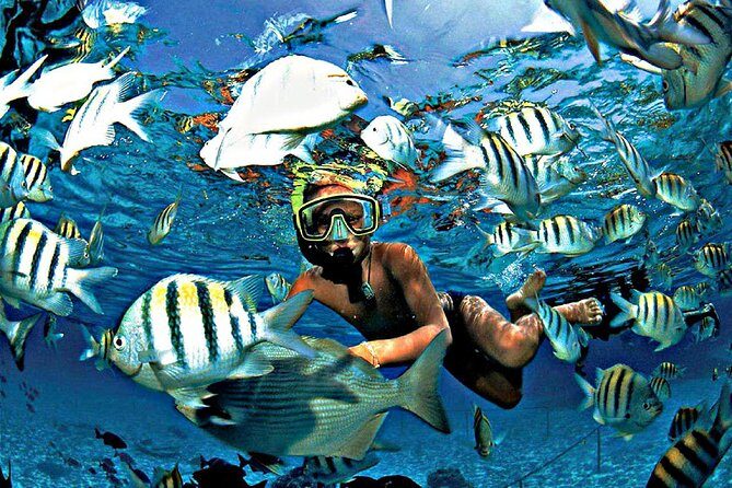 Reef Snorkel & Ocean Paddle Adventure in Fort Lauderdale Beach - Itinerary and Experience Breakdown