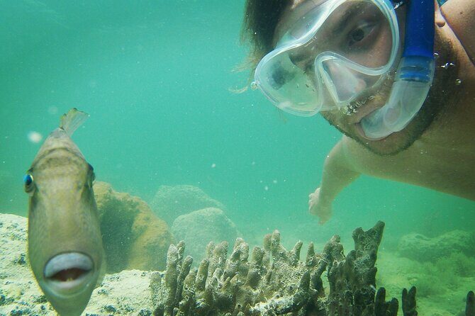 Reef Snorkel + Sandbar & Sunset Sail-Small Groups with Honest Eco - Sailing to the Sandbar and Sunset
