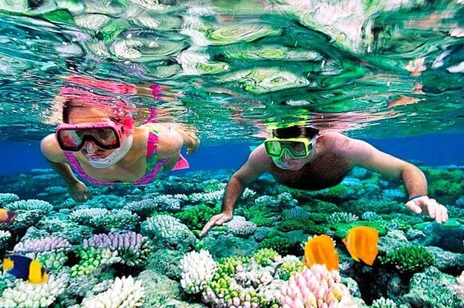 Reef Snorkel, underwater adventure in Puerto Morelos With Transportation & Lunch - Visiting Puerto Morelos: The Charming Fishing Village