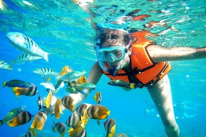 Reef Snorkeling in National Park from Cancun with Beachside Lunch - Authentic Echoes from Travelers