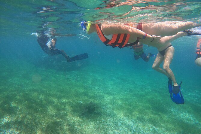 Reef Snorkeling with ATV, Zipline, Cenote that includes lunch and transportation - Detailed Breakdown of the Itinerary