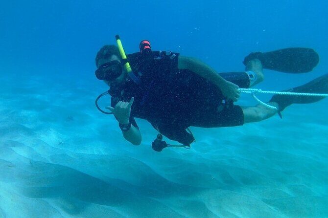 Refresher Scuba Dive - Meeting Points and Logistics