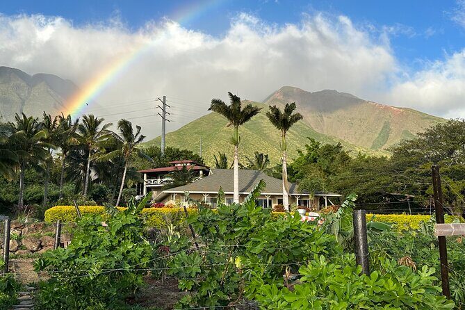 Regenerative Mango and Tropical Fruit Tour in West Maui - Final Thoughts
