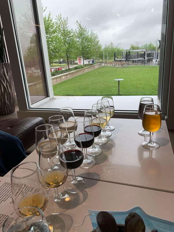 Relaxing Lunch & Wine Tour through Niagara's Wine Country - Why This Tour Works Well