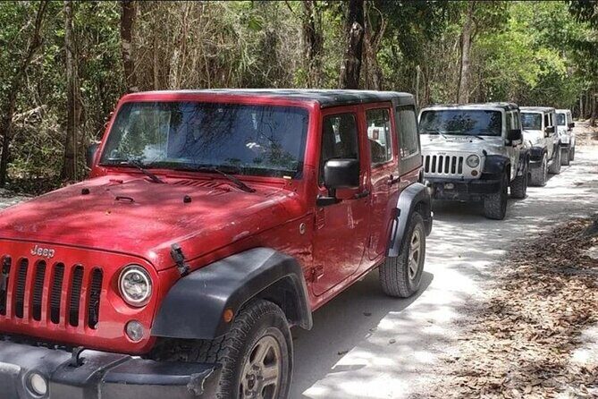 Rent Jeep 4 Doors with Air Conditioning Cozumel Excursion - Who Is This Experience Best For?