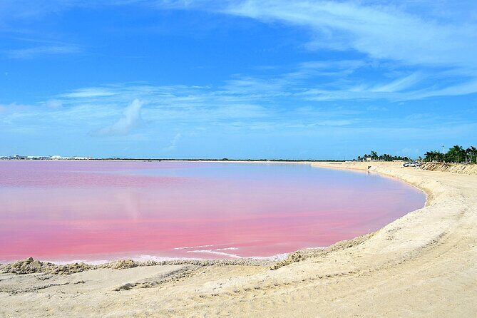 Ría Lagartos Biosphere Reserve & Las Coloradas Adventure - Practical Details: What the Tour Means for You