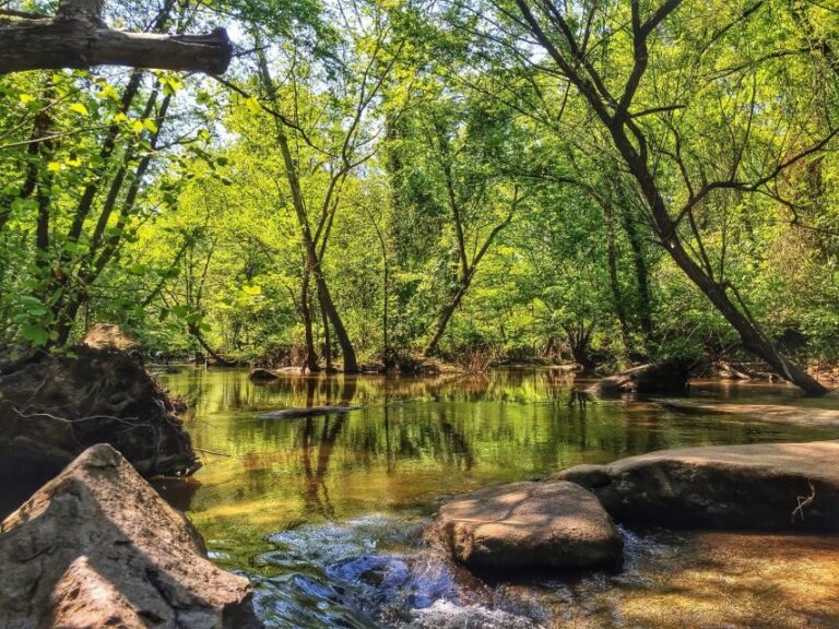 Richmond: Guided Hike in James River Park - Who This Tour Is Best For