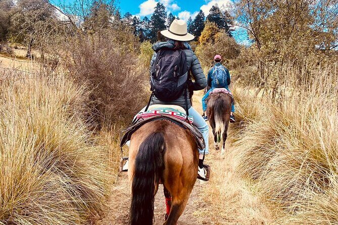Ride Ajusco mountain trails & enjoy a ranch barbecue - Who is this tour best for?