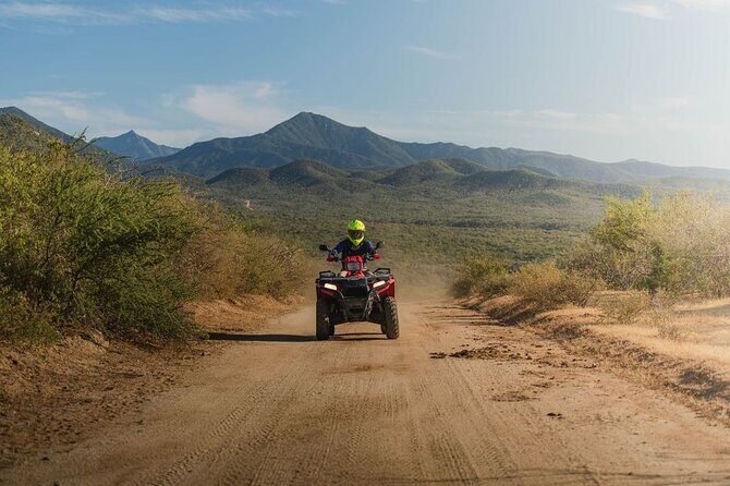 Ride the Wild Camel Safari and Off Road Rush - Authentic Experiences and Traveler Insights