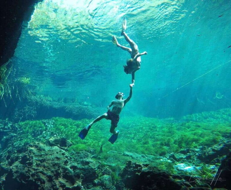 Ride to a life-changing cenotes tour - Why This Tour Works for Different Travelers