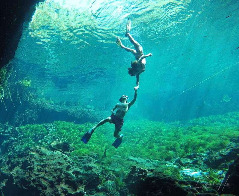 Ride to a life-changing cenotes tour - Why This Tour Works for Different Travelers