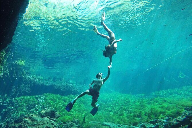 Ride to a life changing cenotes tour - Real Experiences from Travelers
