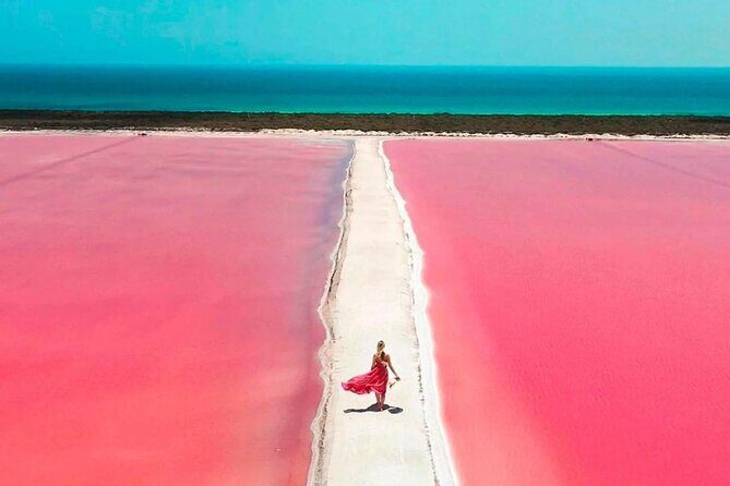 Rio Lagartos and Las Coloradas Day Tour from Cancun - The Sum Up