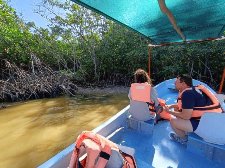 Rio Lagartos: Tour and Gastronomy - Discovering Rio Lagartos: A Natural and Culinary Journey