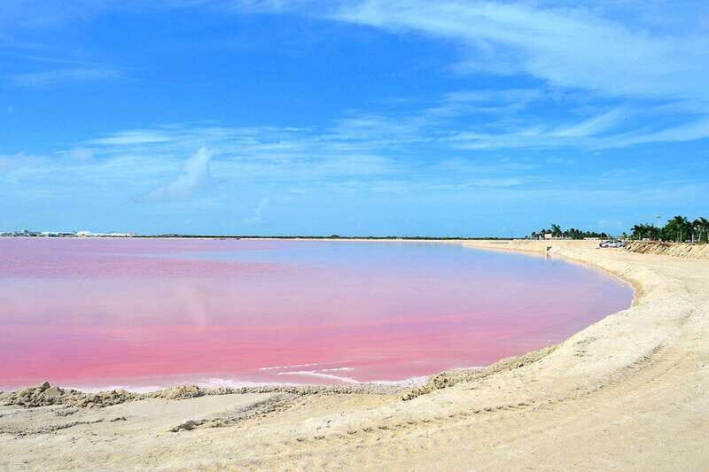 Rio Lagartos: Wondeful Pink Waters and Boat Ride - Why You Should Consider This Tour