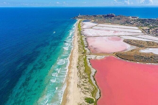 Rio Lizards and Las Coloradas Ecosafari Maya Natural Experience