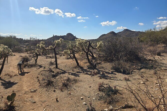 Ritz Dove Mountain and Totolita Hiking