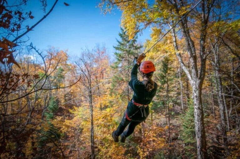 River Ziplines - Nature Tours - The Sum Up: Who Should Consider This Tour?