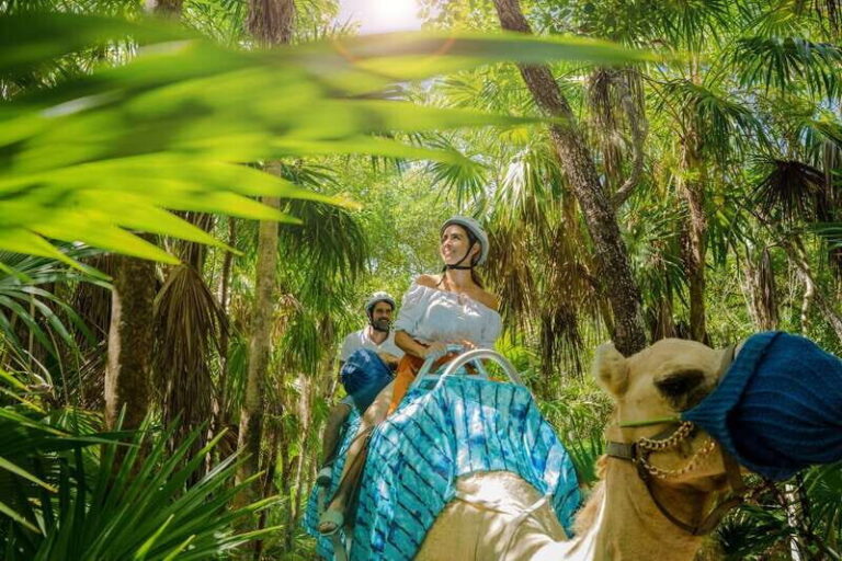 Riviera Maya: Camel Caravan Expedition and Beach Club Access - Final Thoughts: Is It Worth It?