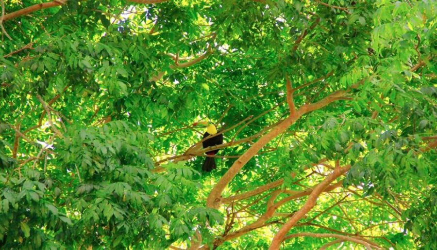 Riviera Maya: Horseback Riding at Rancho Bonanza - Refreshing Swim in a Cenote