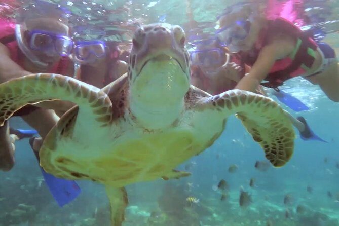 Riviera Maya Snorkeling - The Experience: Authentic, Fun, and Relaxing