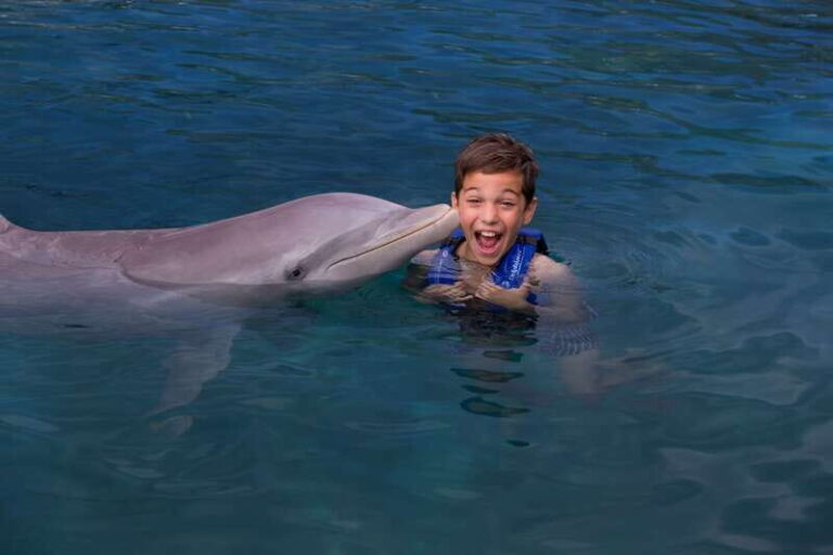 Riviera Maya: Swim with dolphins Interax - The Facilities and Logistics