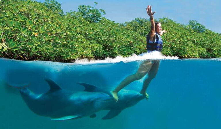 Riviera Maya: Swim with dolphins Primax - What to Expect During the Tour