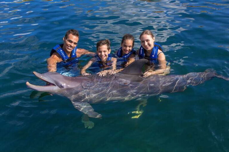 Riviera Maya: Swimming Experience with Dolphins - Final Thoughts: Who Should Consider This Tour?