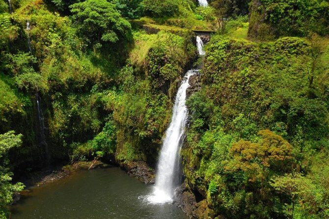 Road To Hana Black Sand Beach Waterfalls & Turtles Tour - Frequently Asked Questions