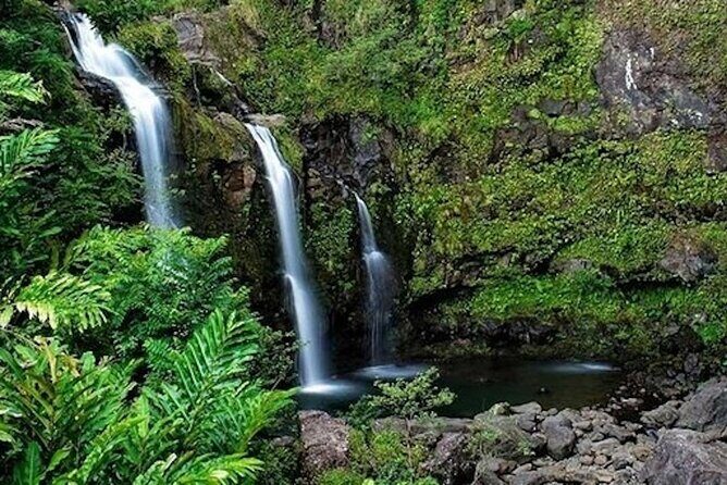 Road to Hana Deluxe Rainforest and Waterfall Experience from Oahu - Who Will Love This Tour?