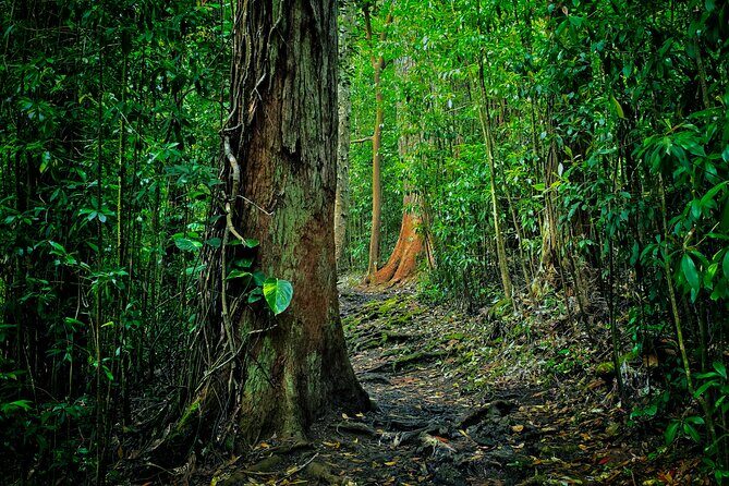 Road to Hana Halfway Tour - Who This Tour Is Best For
