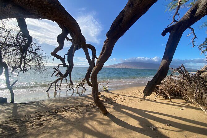 Road to Hana Maui Tours - The Road Itself: Winding Through Paradise