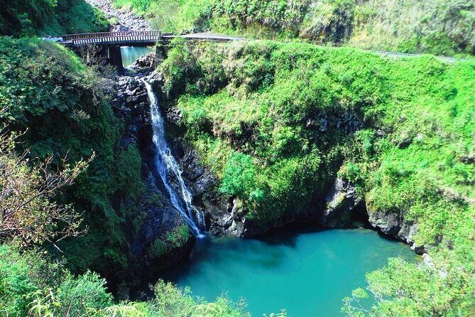 Road to Hana Private Jungle Tour - Who Should Consider This Tour?