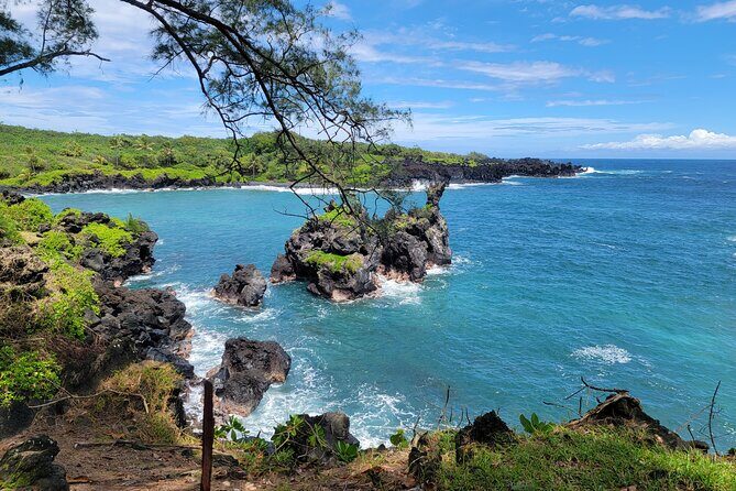 Road to Hana Rainforest, Black Sand Beach, Waterfalls & Lunch - What the Tour Feels Like: Experience and Atmosphere
