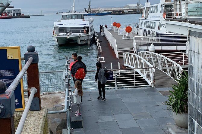 Robben Island & Surprise stops tickets confirm by 8am next day. - Who Will Love This Tour?