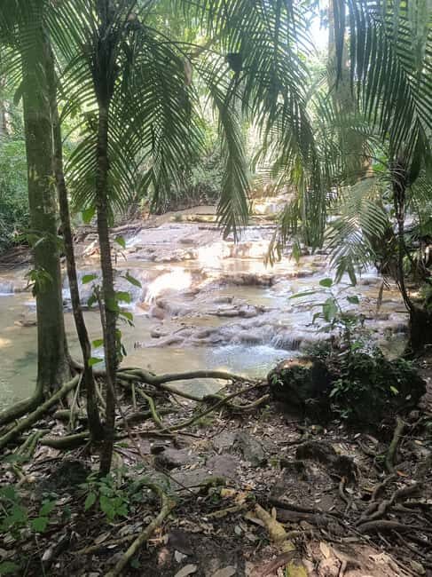 Roberto Barrios Waterfalls from Palenque - The Waterfalls: More Than Just Pretty Pictures