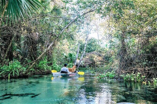 Rock Springs 2-Hour Glass Bottom Guided Kayak Eco Tour - Who Should Consider This Tour?