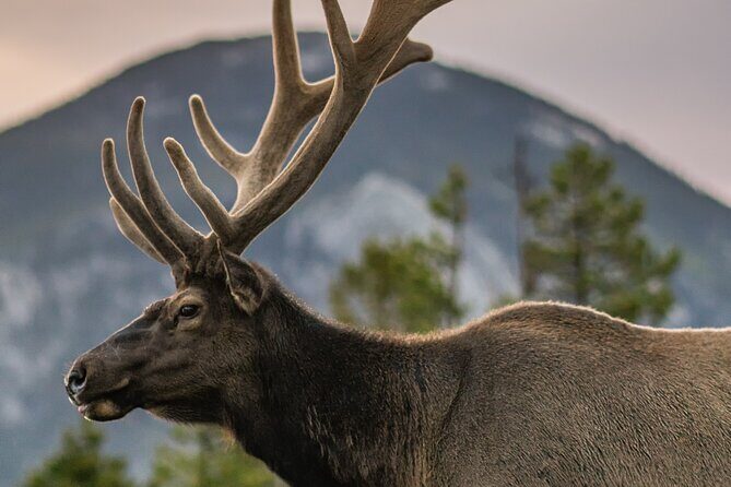 Rocky Mountain Full Day Private Tour & Hike - The Value of Included Features