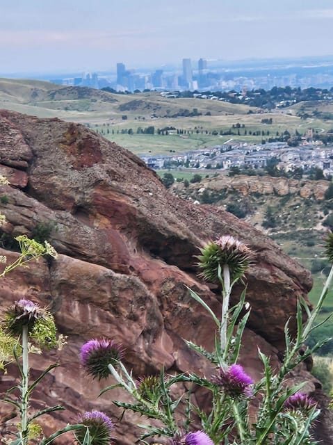 Rocky Mountain HIGH: Cannabis Mountain Tour - The Experience in Detail