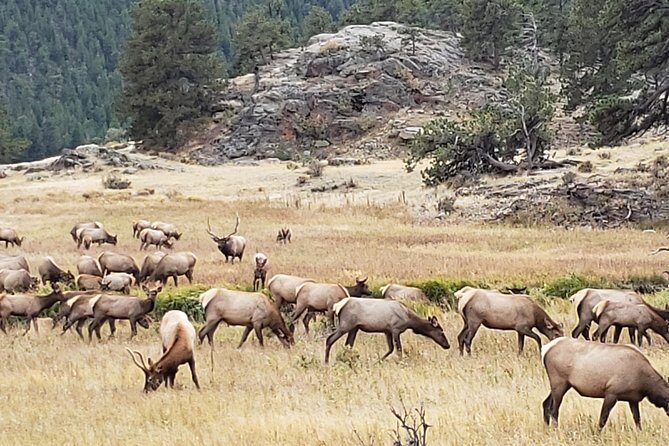 Rocky Mountain National Park and Estes Park Tour from Denver Winter and Spring - Who Is This Tour Best For?
