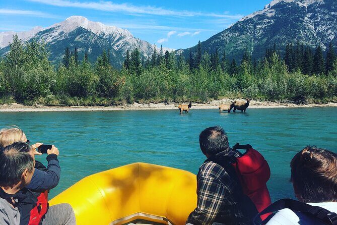 Rocky mountain - VIP Experience - Private Boat - Who Will Love This Tour?