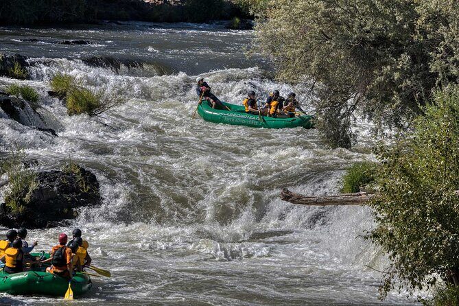 Rogue River Half Day Whitewater Trip Nugget Falls