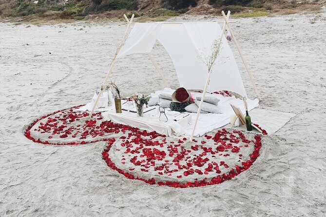 Romantic Picnic by the beach - In The Sum Up