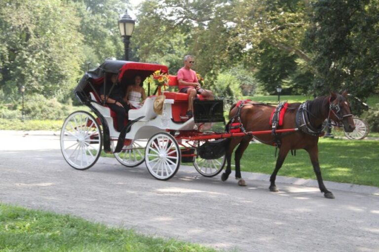 Romantic/Proposal Central Park Carriage Tour Up to 4 Adults - Analyzing the Cost and Overall Value