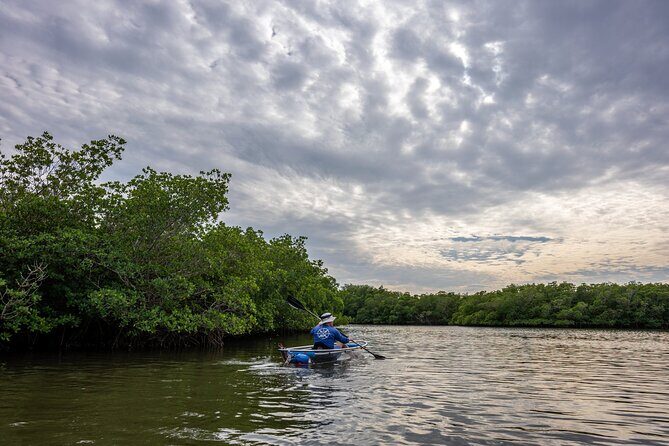 Round Island 2-Hour Glass Bottom Guided Kayak Eco Tour - The Equipment and Logistics